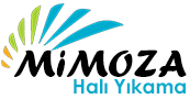 Çiğli Halı Yıkama